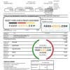 Canada American Express Air Miles Credit Card account statement easy to fill template in Word and PDF format