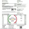 Canada CrawfordTech bank statement easy to fill template in Excel and PDF format