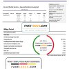 Israel Electric Corporation electricity utility bill template in Word and PDF format (.doc and .pdf)