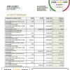 China Development bank statement template in Word and PDF format