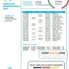 China Industrial and Commercial Bank of China bank statement template in Word and PDF format