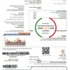 Israel Electric Corporation utility bill template in Word and PDF format (.doc and .pdf)