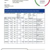 Costa Rica Banco Nacional bank statement easy to fill template in .xls and .pdf file format