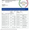 Costa Rica Banco Nacional de Costa Rica proof of address bank statement template in Word and PDF format