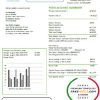 Israel Green Energy Association of Israel utility bill template in Word and PDF format (doc)