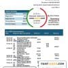 Czech HSBC bank statement easy to fill template in .doc and .pdf format, fully editable