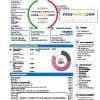 Italy Enel Energia utility bill template in Word and PDF format