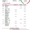 Denmark Arbejdernes Landsbank bank statement easy to fill template in Excel and PDF format