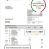 Denmark Sydbank bank statement template in Word and PDF format