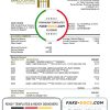 Dominican Republic Central Bank of The Dominican Republic proof of address bank statement template in Word and PDF format