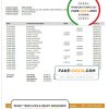 Ecuador Banco del Austro proof of address bank statement template in Word and PDF format