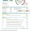 Egypt Al Ahli Bank of Kuwait bank statement easy to fill template in Excel and PDF format