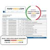 Egypt Blom Bank of Egypt bank statement easy to fill template in Excel and PDF format
