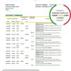 Egypt National Bank of Egypt bank statement easy to fill template in Excel and PDF format