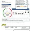 Jamaica Public Service (JPS) electricity utility bill template in Word and PDF format