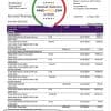 Estonia Inbank bank statement template, Word and PDF format (.doc and .pdf)