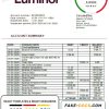 Estonia Luminor Bank proof of address bank statement template in Word and PDF format, .doc and .pdf format