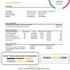 Ethiopia Bank of Abyssinia bank statement easy to fill template in .xls and .pdf file format