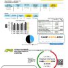 Jamaica Public Service Company Limited (JPS) electricity utility bill template in Word and PDF format