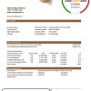 Ethiopia Commercial Bank statement easy to fill template in Excel and PDF format
