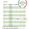 Fiji Bank of South Pacific bank statement template in Word and PDF format