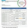 Fiji Bred bank statement template in Word and PDF format