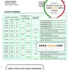 Finland Aktia Bank statement template in Word and PDF format