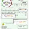 Saint Vincent and the Grenadines St. Vincent Electricity Services Limited utility bill Word and PDF template