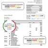 Denmark Sydbank statement Excel and PDF template