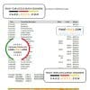 Ecuador Banco del Austro bank statement Excel and PDF template