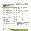 Gambia Arab Gambian Islamic bank statement Excel and PDF template