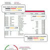Georgia Basis Bank statement Excel and PDF template