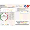 India IDFC bank statement Word and PDF template, 2 pages, version 2