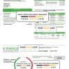 UAE TRANSCO Company utility bill template in Word and PDF format