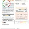USA New York PSEG utility bill, Word and PDF template, 6 pages