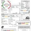 USA Wisconsin We Energies electricity utility bill template in Word and PDF format