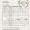 Madagascar Bank of Africa bank statement template in Word and PDF format