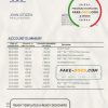 Malawi National Bank of Malawi bank statement template in Word and PDF format