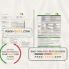 Malaysia Packet 1 Network bank statement template in Word and PDF format (3 pages)