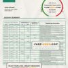 Maldives HBL bank statement template in Word and PDF format