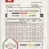 Maldives Bank of Maldives bank statement template in Word and PDF format
