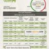 Marshall Islands Bank of Guam bank statement template in Word and PDF format