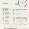 Mauritania BNP Paribas bank statement template in Word and PDF format