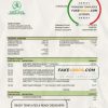 Mauritania Chinguitty bank statement template in Word and PDF format