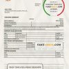 Mauritius Bank of Boroda bank statement template in Word and PDF format