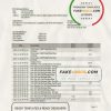 Mexico Banorte bank statement template in Word and PDF format