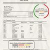 Mongolia Arig Bank proof of address statement template in Word and PDF format