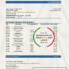 Mongolia Development Bank of Mongolia bank statement template in Word and PDF format