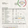 Namibia Bank Windhoek bank statement template in Word and PDF format