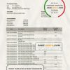 Nepal Nabil bank statement template in Word and PDF format